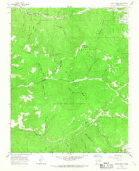 Download a high-resolution, GPS-compatible USGS topo map for Shady Brook, NM (1968 edition)