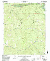 Download a high-resolution, GPS-compatible USGS topo map for Shady Brook, NM (1997 edition)