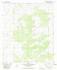 Download a high-resolution, GPS-compatible USGS topo map for Shannon Canyon NW, NM (1981 edition)