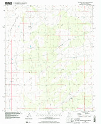 Download a high-resolution, GPS-compatible USGS topo map for Shannon Canyon NW, NM (2002 edition)