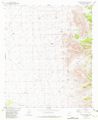 Download a high-resolution, GPS-compatible USGS topo map for Shannon Canyon, NM (1981 edition)