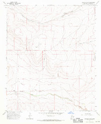 preview thumbnail of historical topo map of Chaves County, NM in 1967