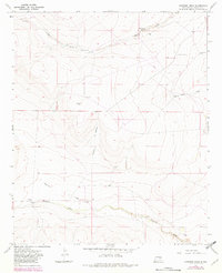 Download a high-resolution, GPS-compatible USGS topo map for Shannon Draw, NM (1982 edition)