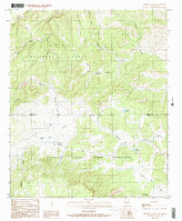 Download a high-resolution, GPS-compatible USGS topo map for Sheeppen Canyon, NM (1989 edition)