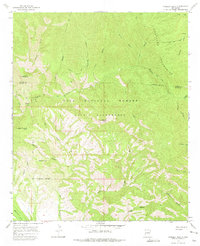 Download a high-resolution, GPS-compatible USGS topo map for Shelley Peak, NM (1975 edition)