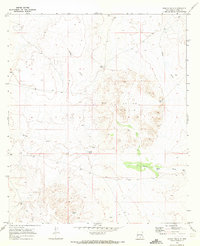 Download a high-resolution, GPS-compatible USGS topo map for Shiloh Hills, NM (1973 edition)