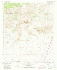 Download a high-resolution, GPS-compatible USGS topo map for Sierra Fijardo, NM (1981 edition)