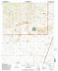 Download a high-resolution, GPS-compatible USGS topo map for Sierra Fijardo, NM (1998 edition)