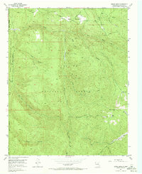 Download a high-resolution, GPS-compatible USGS topo map for Sierra Mosca, NM (1973 edition)