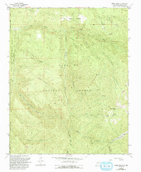 Download a high-resolution, GPS-compatible USGS topo map for Sierra Mosca, NM (1993 edition)