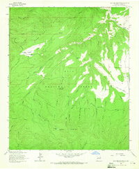 Download a high-resolution, GPS-compatible USGS topo map for Sign Camp Mountain, NM (1965 edition)