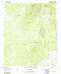 Download a high-resolution, GPS-compatible USGS topo map for Silver Hill, NM (1986 edition)