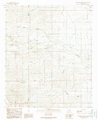 preview thumbnail of historical topo map of Eddy County, NM in 1989