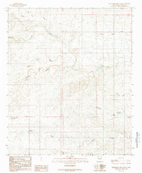 Download a high-resolution, GPS-compatible USGS topo map for Sixteenmile Draw West, NM (1989 edition)