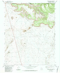Download a high-resolution, GPS-compatible USGS topo map for Skinney Rock, NM (1984 edition)
