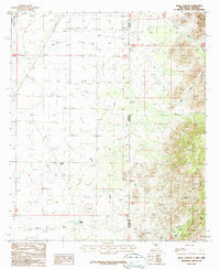 preview thumbnail of historical topo map of Hidalgo County, NM in 1987