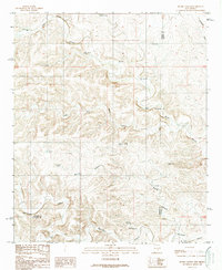 Download a high-resolution, GPS-compatible USGS topo map for Skunk Canyon, NM (1989 edition)