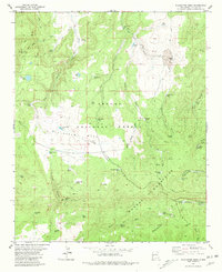 Download a high-resolution, GPS-compatible USGS topo map for Slaughter Mesa, NM (1981 edition)