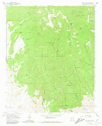 Download a high-resolution, GPS-compatible USGS topo map for South Baldy, NM (1981 edition)