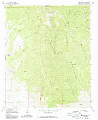 Download a high-resolution, GPS-compatible USGS topo map for South Baldy, NM (1986 edition)