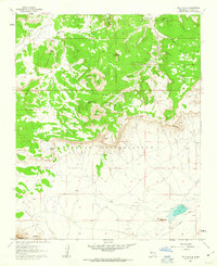 Download a high-resolution, GPS-compatible USGS topo map for South Butte, NM (1963 edition)