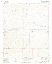 Download a high-resolution, GPS-compatible USGS topo map for South Taylor Tank, NM (1979 edition)