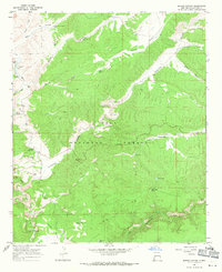 Download a high-resolution, GPS-compatible USGS topo map for Spring Canyon, NM (1971 edition)