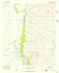 Download a high-resolution, GPS-compatible USGS topo map for Spring Lake, NM (1956 edition)