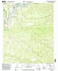 Download a high-resolution, GPS-compatible USGS topo map for Squirrel Springs Canyon, NM (2002 edition)