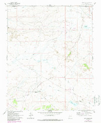 Download a high-resolution, GPS-compatible USGS topo map for Star Lake, NM (1989 edition)