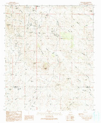 Download a high-resolution, GPS-compatible USGS topo map for Steeple Rock, NM (1991 edition)