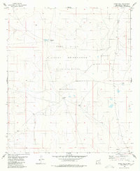 Download a high-resolution, GPS-compatible USGS topo map for Stone Well, NM (1980 edition)