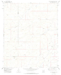 Download a high-resolution, GPS-compatible USGS topo map for Strychnine Draw, NM (1978 edition)