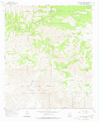 Download a high-resolution, GPS-compatible USGS topo map for Surveyors Canyon, NM (1978 edition)