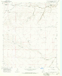 Download a high-resolution, GPS-compatible USGS topo map for Swallow Nest Canyon, NM (1971 edition)