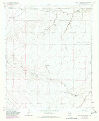 Download a high-resolution, GPS-compatible USGS topo map for Swallow Nest Canyon, NM (1982 edition)