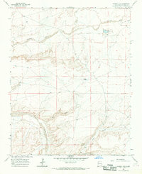 Download a high-resolution, GPS-compatible USGS topo map for Tanner Lake, NM (1969 edition)