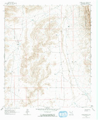 Download a high-resolution, GPS-compatible USGS topo map for Tanner Ranch, NM (1965 edition)