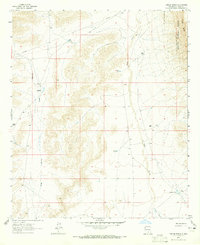 Download a high-resolution, GPS-compatible USGS topo map for Tanner Ranch, NM (1965 edition)