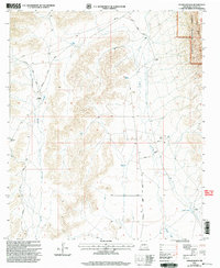Download a high-resolution, GPS-compatible USGS topo map for Tanner Ranch, NM (2003 edition)
