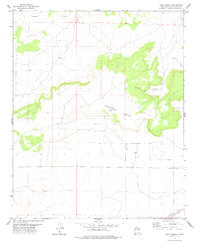Download a high-resolution, GPS-compatible USGS topo map for Tapia Ranch, NM (1978 edition)