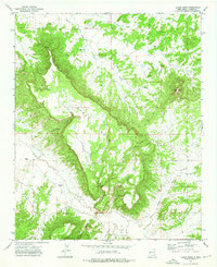 Download a high-resolution, GPS-compatible USGS topo map for Tejana Mesa, NM (1976 edition)