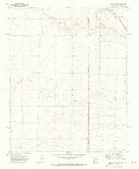 Download a high-resolution, GPS-compatible USGS topo map for Texline South, NM (1973 edition)
