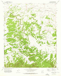 Download a high-resolution, GPS-compatible USGS topo map for The Dyke, NM (1976 edition)