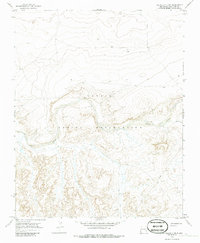 Download a high-resolution, GPS-compatible USGS topo map for The Pillar 3 NE, NM (1986 edition)