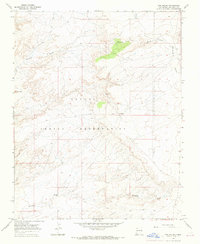 Download a high-resolution, GPS-compatible USGS topo map for The Pillar, NM (1969 edition)