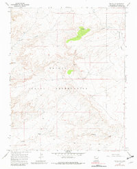 Download a high-resolution, GPS-compatible USGS topo map for The Pillar, NM (1982 edition)