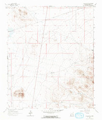 Download a high-resolution, GPS-compatible USGS topo map for The Saltys, NM (1966 edition)