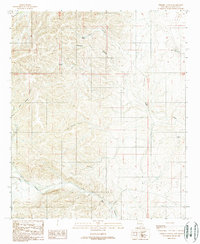 Download a high-resolution, GPS-compatible USGS topo map for Thimble Canyon, NM (1989 edition)