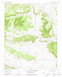 Download a high-resolution, GPS-compatible USGS topo map for Thoreau NE, NM (1981 edition)